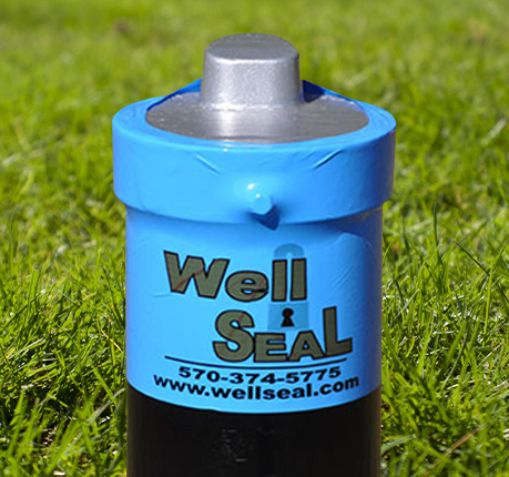 what-is-wellseal